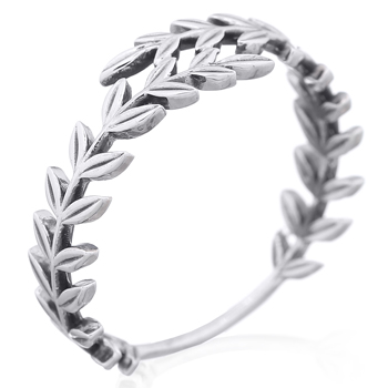Anillo