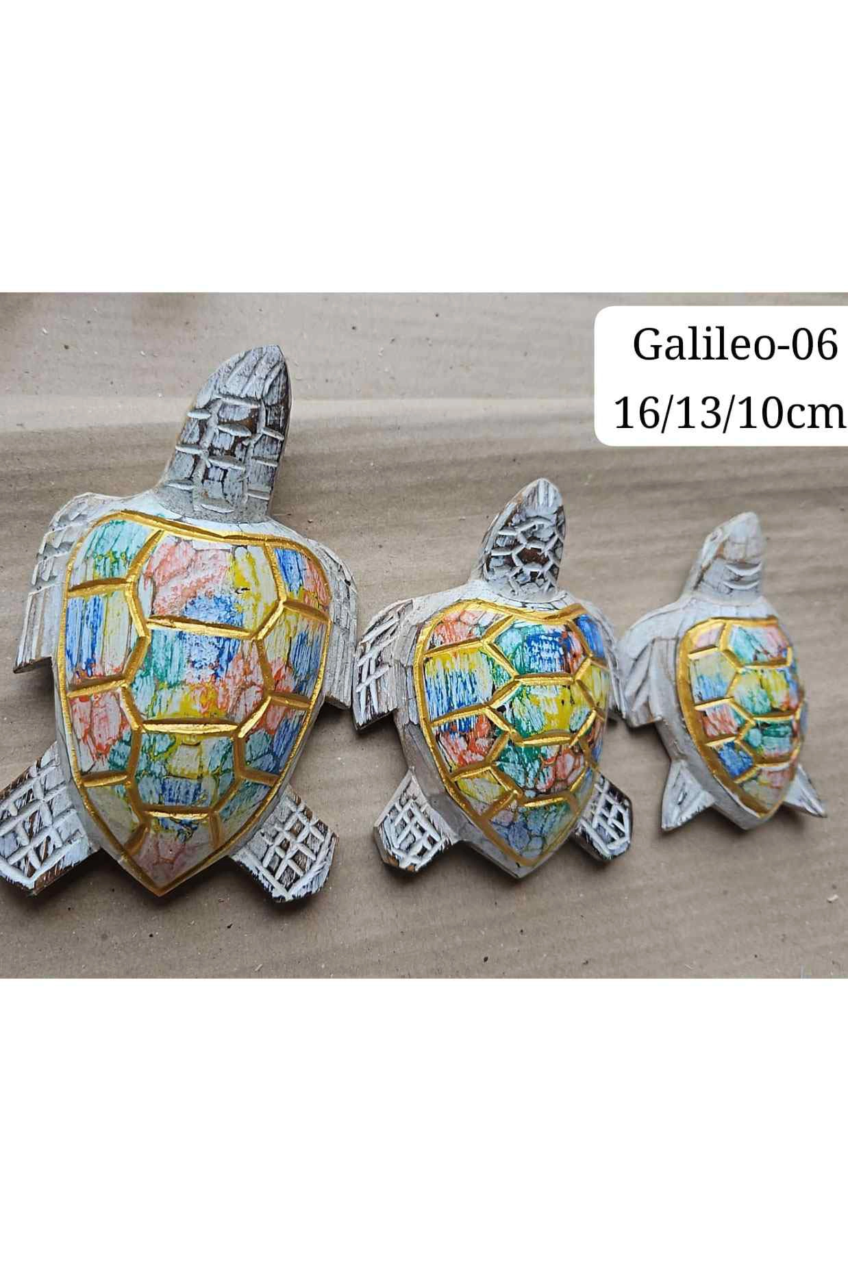 Tortuga