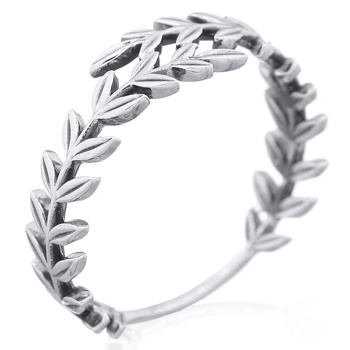 [23593] Anillo